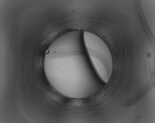 X0000091670127200708231022