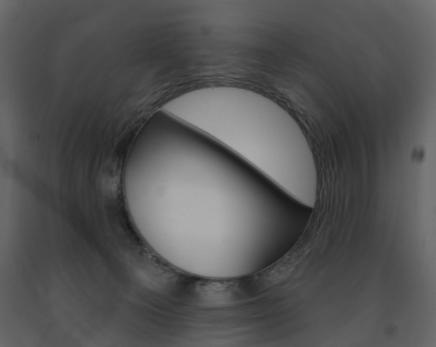 X0000091670129200708231022