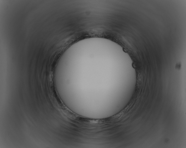 X0000091670130200708231022