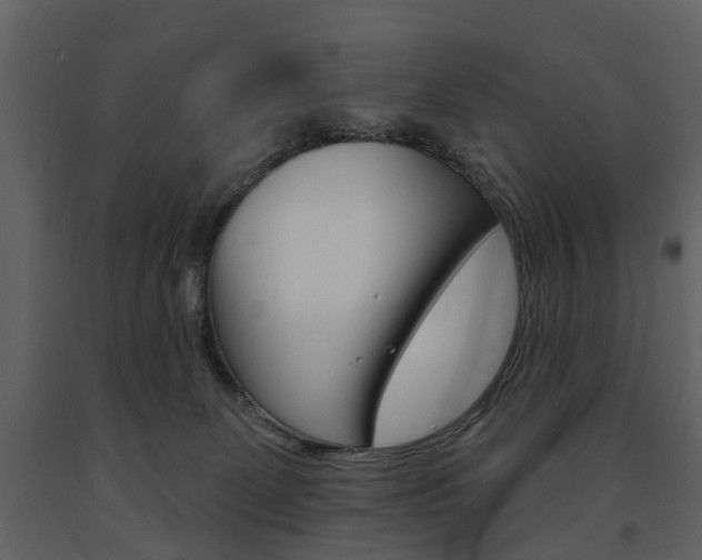 X0000091670131200708231022