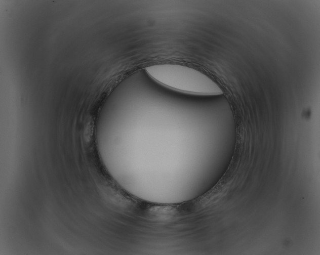 X0000091670133200708231022