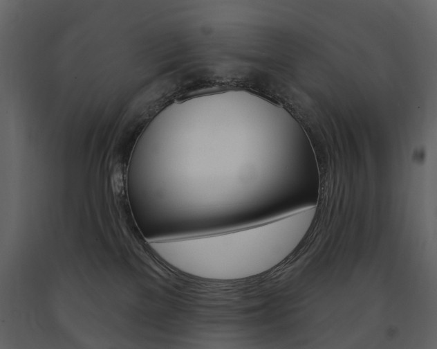 X0000091670137200708231022