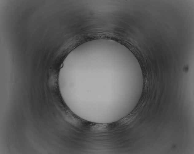 X0000091670138200708231022