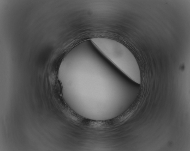 X0000091670139200708231022