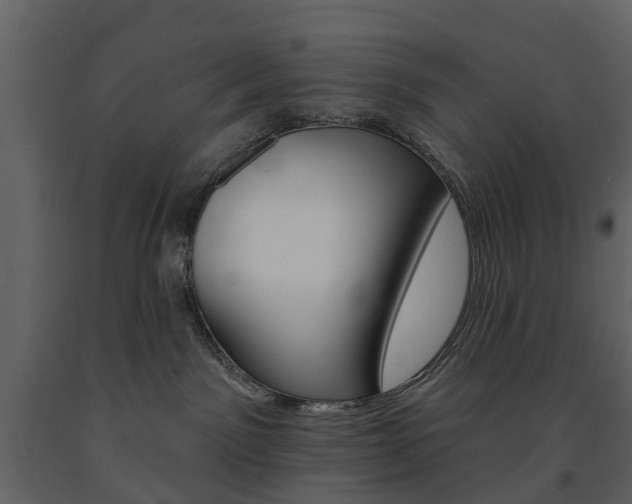 X0000091670141200708231022