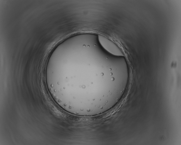 X0000091670145200708231021