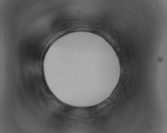 X0000091670146200708231021