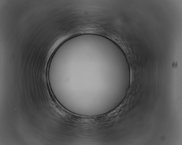 X0000091670147200708231021