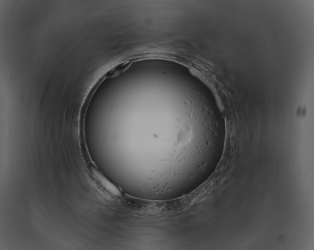 X0000091670148200708231021