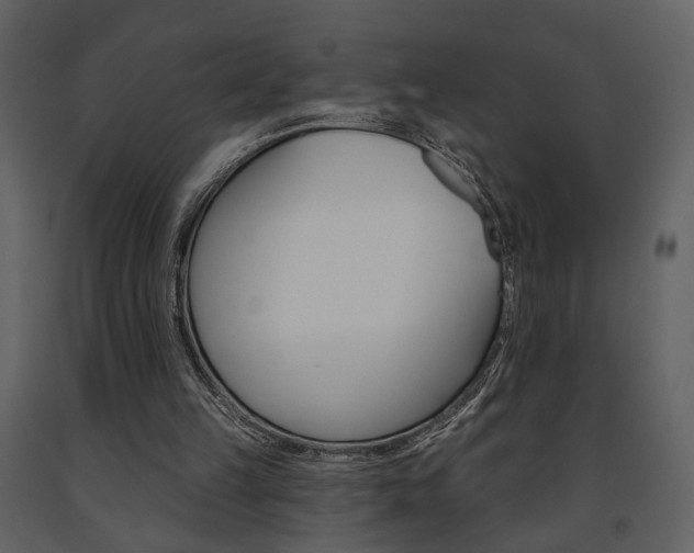 X0000091670149200708231021