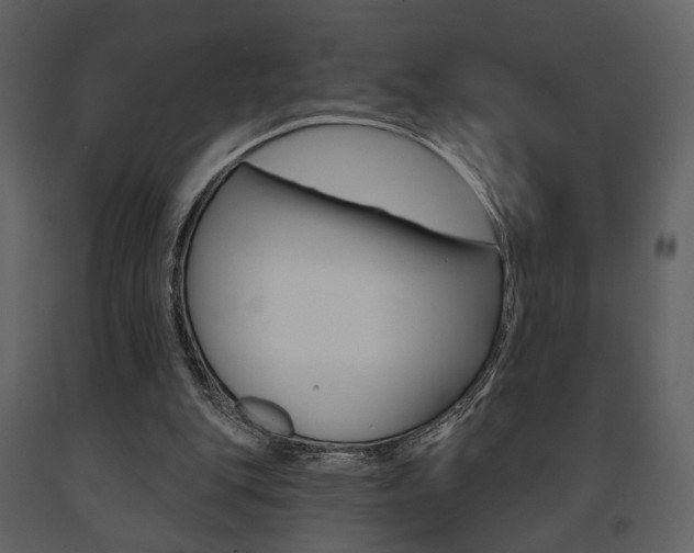 X0000091670151200708231021