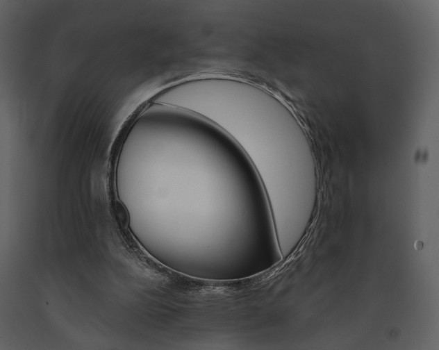 X0000091670152200708231021