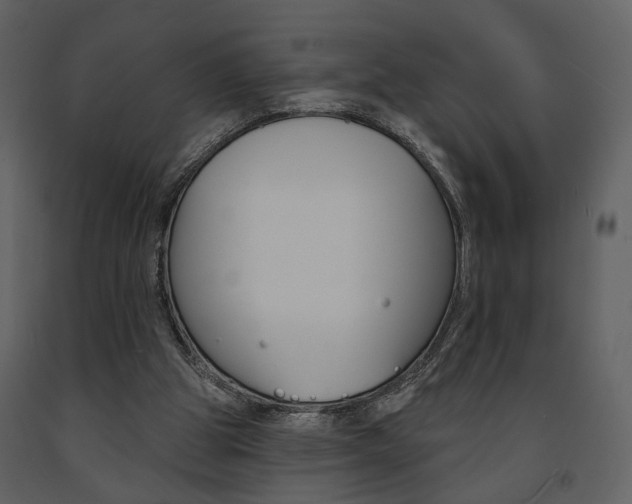X0000091670153200708231021