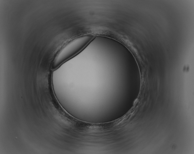 X0000091670154200708231021