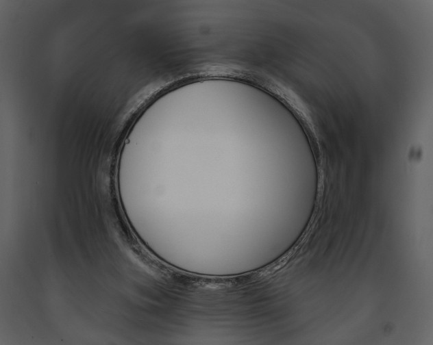 X0000091670155200708231021