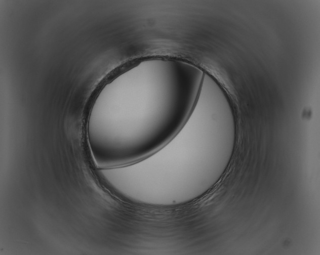 X0000091670156200708231021