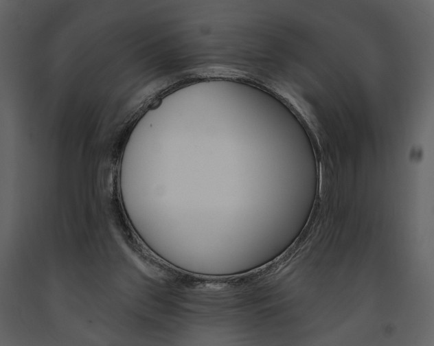 X0000091670157200708231021