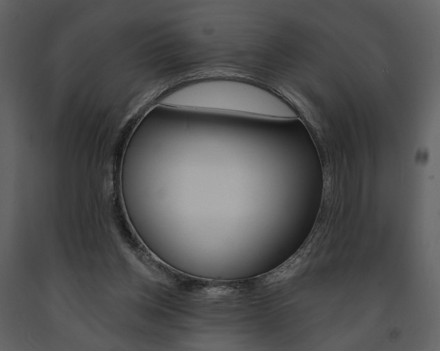 X0000091670158200708231021