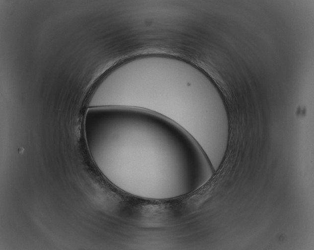 X0000091670160200708231021