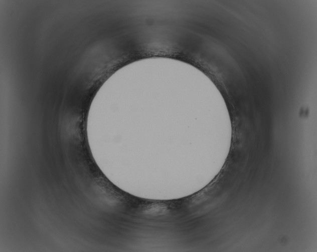 X0000091670162200708231021