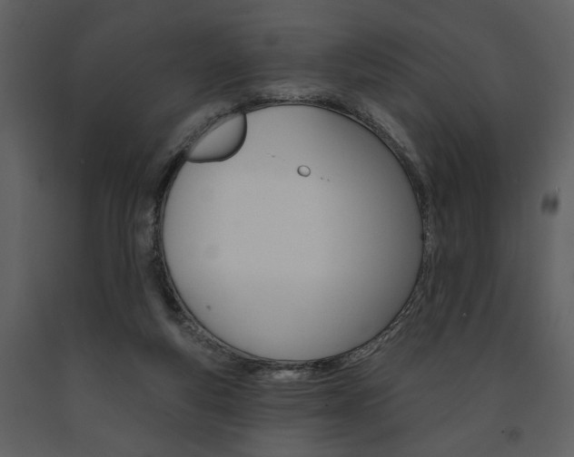 X0000091670163200708231021
