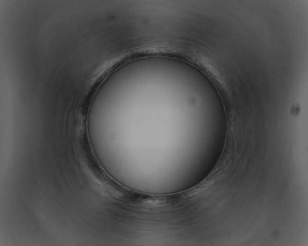 X0000091670164200708231021