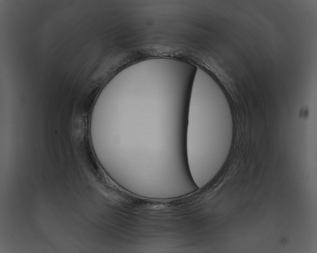 X0000091670165200708231021