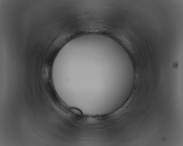 X0000091670166200708231021