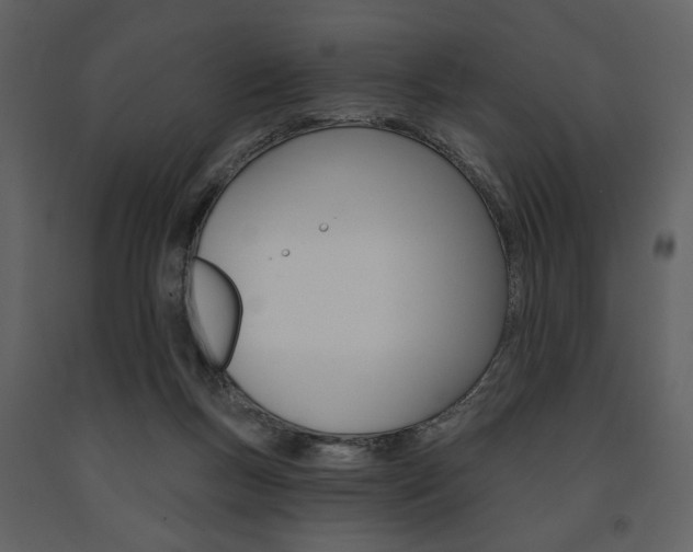 X0000091670167200708231021