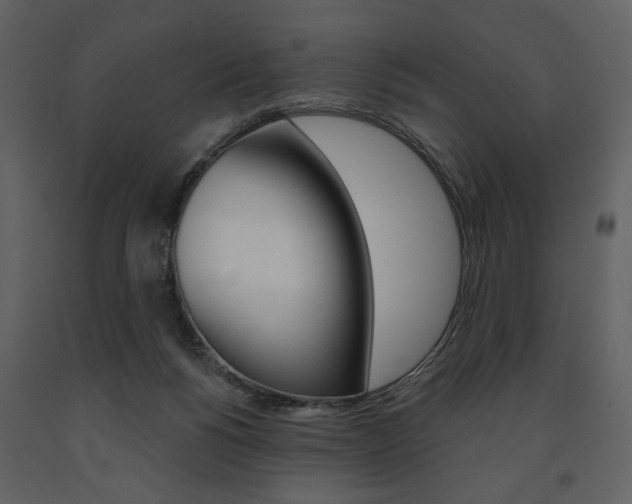 X0000091670168200708231021