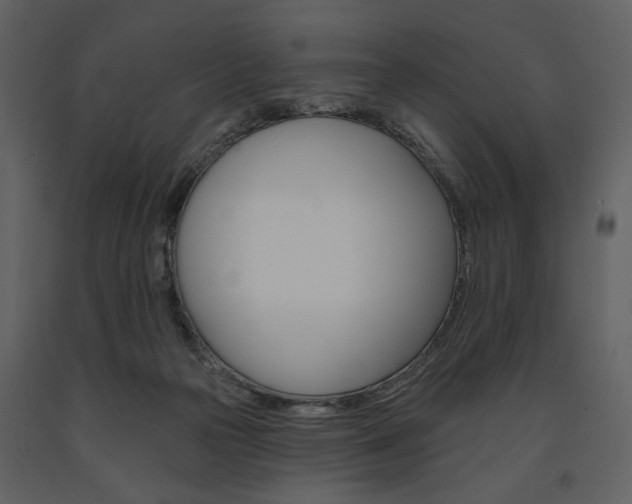 X0000091670169200708231021
