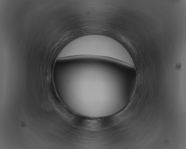 X0000091670170200708231021