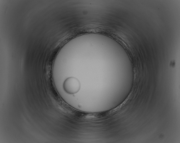 X0000091670171200708231021