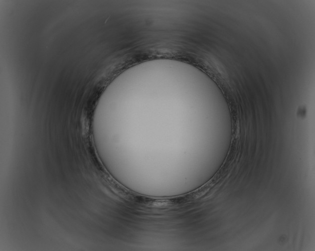 X0000091670173200708231021