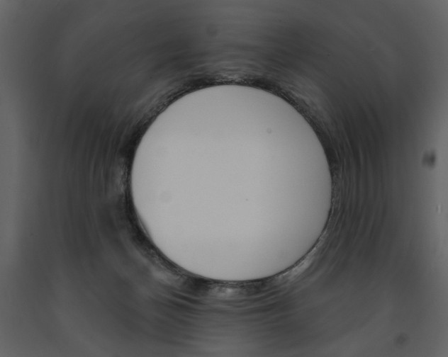 X0000091670174200708231021