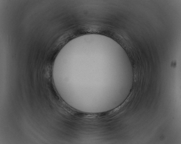 X0000091670175200708231021