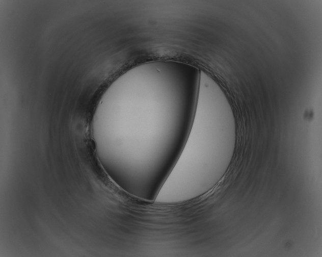 X0000091670176200708231021