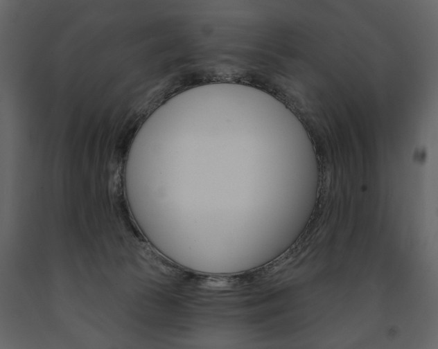 X0000091670177200708231021