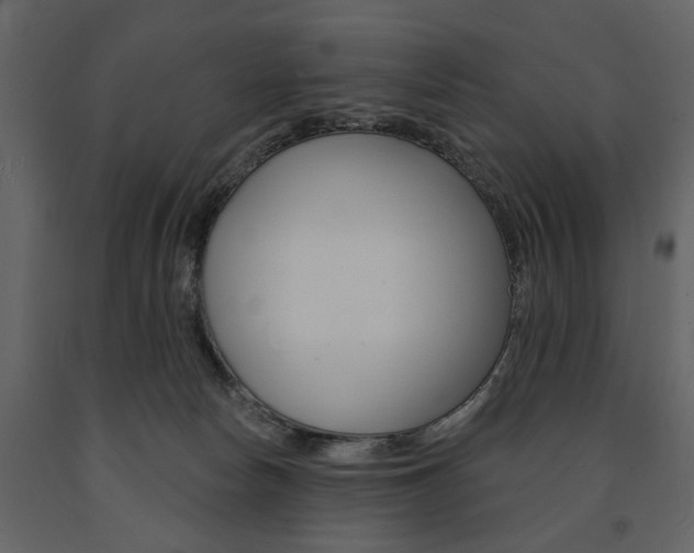 X0000091670178200708231021