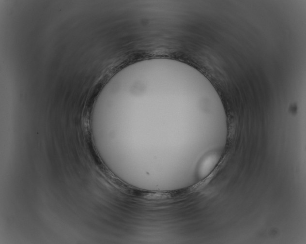 X0000091670179200708231021