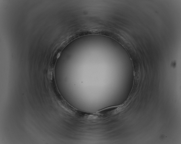 X0000091670180200708231022