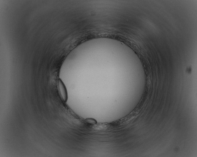 X0000091670181200708231022