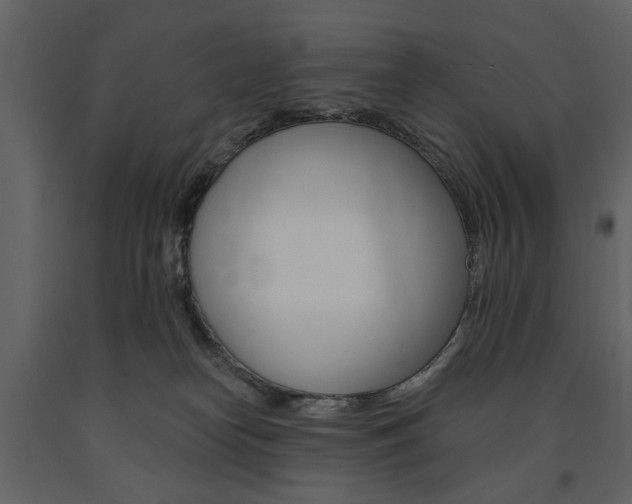X0000091670182200708231022