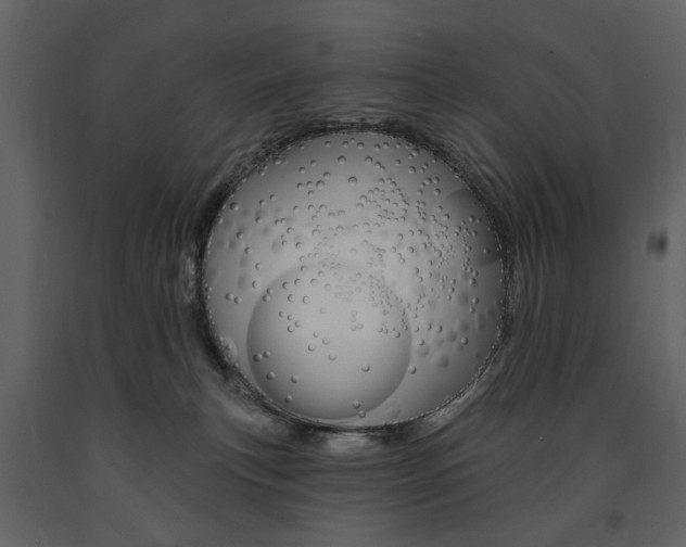 X0000091670183200708231022