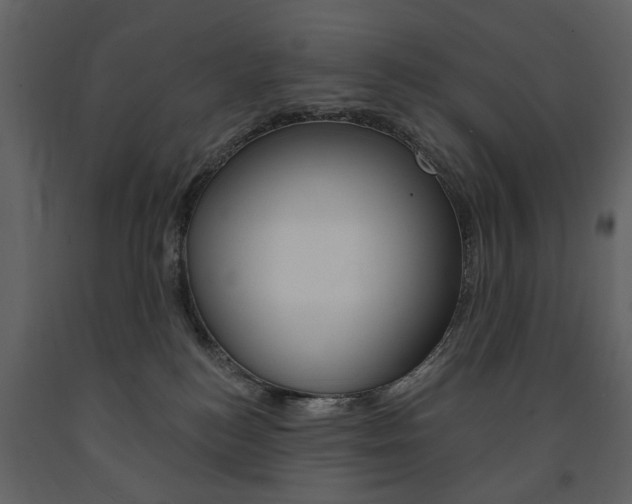 X0000091670184200708231022