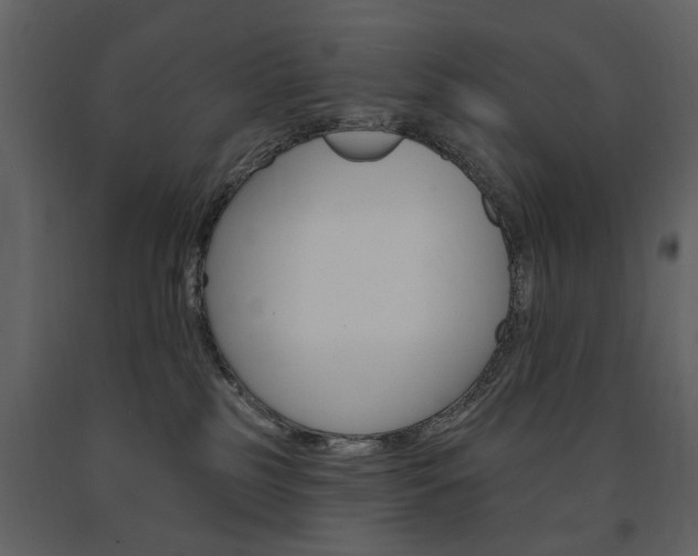 X0000091670185200708231022