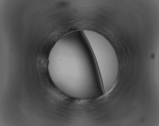 X0000091670186200708231022
