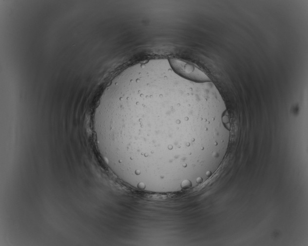 X0000091670187200708231022