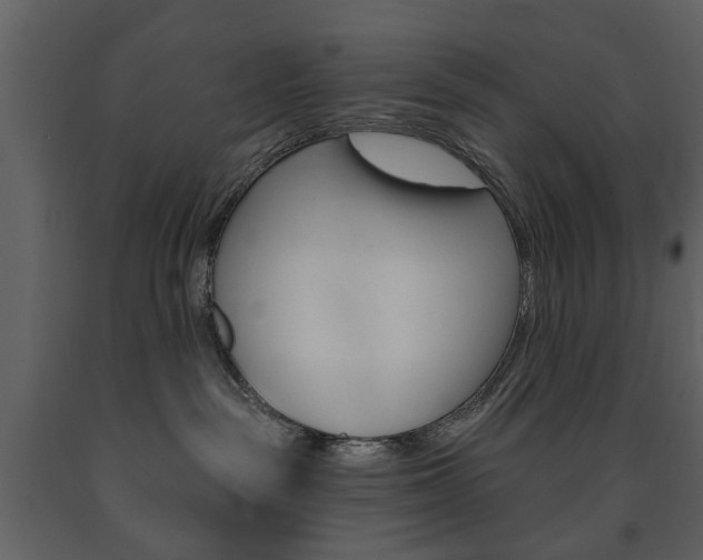 X0000091670189200708231022