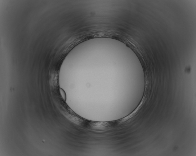X0000091670191200708231022
